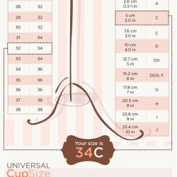 cup size chart visual